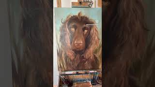 Boykin Spaniel Pet Portrait Oversized Painting [upl. by Nolrak242]