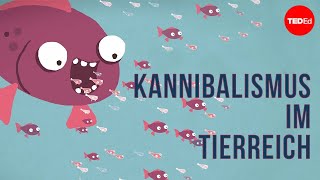 Kannibalismus im Tierreich – Bill Schutt [upl. by Diane872]