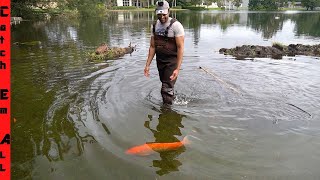 CATCHING ESCAPED Neighbors FISH in FLOODED STREET [upl. by Beatty]