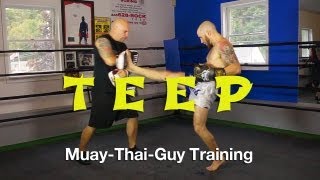 How To Throw A TeepPush Kick Tutorial  Basic Muay Thai Techniques [upl. by Basil]