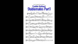 Freddie Hubbard Jazz Trumpet Solo Transcription 【Stablemates】 part1 1 Shorts [upl. by Thrasher]