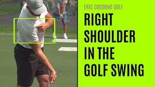 GOLF How The Right Shoulder Works In The Golf Swing [upl. by Yeltnarb]