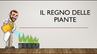 SCIENZE  lezione 9  Il regno delle piante [upl. by Kovacs]