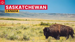 Canada Road Trip Best Things To Do In Saskatchewan [upl. by Htebezile120]