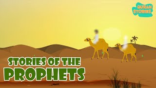 Prophet Stories In English  Islamic Stories  Stories from the Quran  Prophet Muhammad SAW [upl. by Noak]