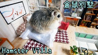 【DIY】倉鼠在精緻別墅的生活 3 Hamster Vacation [upl. by Chong887]