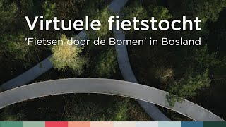 Virtuele fietstocht door Fietsen door de Bomen in Nationaal Park Bosland  Visit Limburg [upl. by Anatniuq]