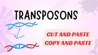 Transposons and its Types Explained  DNA Transposons  Retrotransposons [upl. by Lais]