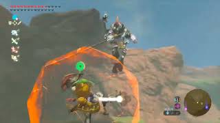 so lynels can now fly apparently botw [upl. by Ysle]