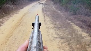 Deer Hunting with Dogs 2020  8 Point Down [upl. by Russon938]