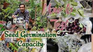 How to Test Seed germination Capacity at home Seed viability test [upl. by Shelba4]