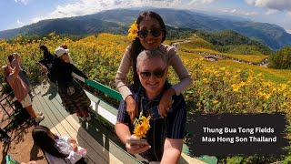 Road Trip Chiang Mai to Thung Bua Tong Fields Mae Hong Son Thailand [upl. by Sydney]