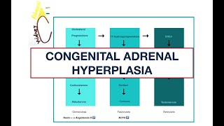 Congenital Adrenal Hyperplasia Adrenal enzyme deficiencies  MCQs  USMLE [upl. by Kelsi]