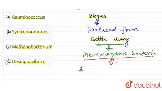 What is the name of methanogenic bacteria  12  MICROBES IN HUMAN WELFARE  BIOLOGY  SANTRA P [upl. by Nottage]