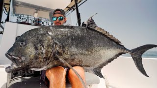 RAW Monster GT Fishing FULL FIGHTS Noboundaries Oman [upl. by Rheims]