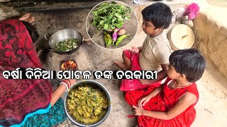 ବର୍ଷା ଦିନିଆ ପୋଟଳ ଡଙ୍କ ତରକାରୀ l Potala Danka Recipe [upl. by Nwahsat967]