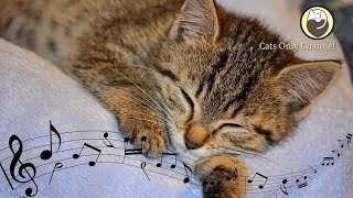 Relaxing Harp Music for Cats  Sleep Music  Relaxing Music  Stress Relief [upl. by Etnahsa]