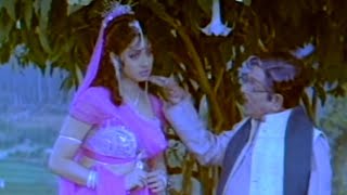 Allu Ramalingaiah amp Sridevi Hilarious Comedy Scene  Jagadeka Veerudu Athiloka Sundari Movie [upl. by Uriah]