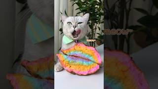 Rainbow Cake amp Strawberry Liqueur🌈🍹 Perfect Dessert Combo 🤩👌 catsofyoutube foodlover tiktok [upl. by Selec]