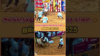 jallikattu Ulipuram Annaikattu Rajendran kalai vellayan [upl. by Stortz310]