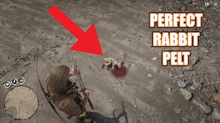 How To Prepare And Cook A Rabbit Field To Fork SRP [upl. by Alyose]