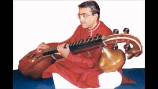 NeerajakshiHindolamD Balakrishna on the Veena 22 [upl. by Bowman876]