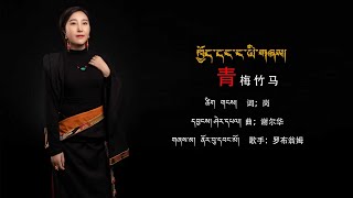 New Tibetan song 2022 ࿉ བོད་གཞས་གསར་པ་༢༠༢༢༼ཁྱོད་དང་ང་ཡ་གཞས།༽གཞས་མ། ནོར་བུ་དབང་མོ ࿉ Norbu Wangmo [upl. by Evannia]