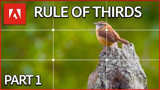 Understanding the Rule of Thirds  Adobe Design Principles Course [upl. by Eitirahc]