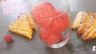 🥄Recette Sorbet à la Framboise 🧚‍♀️ [upl. by Rothschild]