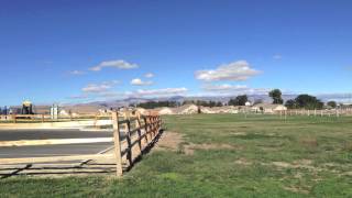 Tour of Fernley Nevada [upl. by Arahat]