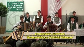 Bracher Buam  quotHirtenliedquot  Harmonikaklasse Gottfried Hubmann [upl. by Ecyaj]