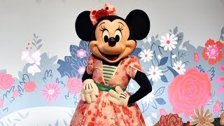 Minnie Mouse Meet amp Greet in Special Costume for Minnies Garden Party Limited Time Epcot Event [upl. by Damle200]