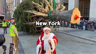 NYC Rockefeller Center Christmas Tree 2024 Installation Video 🎄 New York City 🎅🏼 [upl. by Goldner]