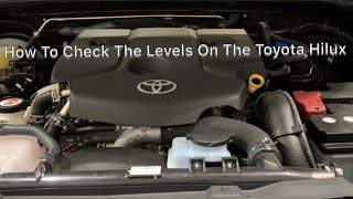 How to check the levels on the Toyota Hilux [upl. by Onyx]