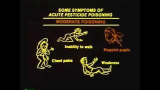 Symptoms of Severe Food Poisoning [upl. by Grissom269]