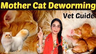 What Dewormer Is Safe For Lactating Cats Nursing Cats deworming DrHira Saeed [upl. by Pulcheria]