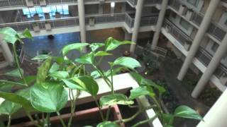 Full Hotel Tour Embassy Suites Syracuse NY [upl. by Hayikat]