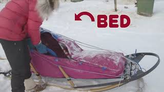 Mushing Explained Designing the perfect dog sled [upl. by Heda]