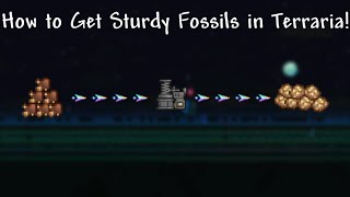 How to get Sturdy Fossils in Terraria [upl. by Emmott]