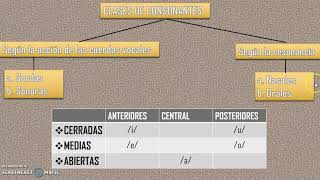 FONÉTICA Y FONOLOGÍA  LENGUAJE  3RO DE SECUNDARIA [upl. by Anit]