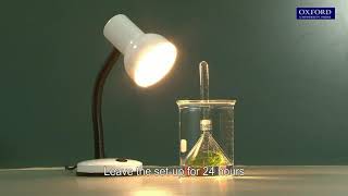 Practical 201 Detection of oxygen produced in photosynthesis [upl. by Aciram]