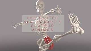 Glutes Series Part 1 Gluteus Minimus 3D Animation [upl. by Tiny]