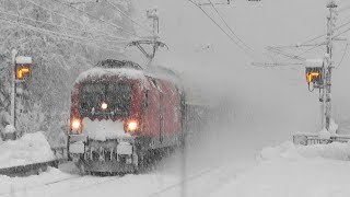 Schneefall❄❄❄extrem in Vorarlberg am Bahnhaltepunkt Feldkirch Amberg🐦 Rabe behält die Übersicht [upl. by Eiramanit]