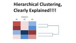 StatQuest Hierarchical Clustering [upl. by Millian855]