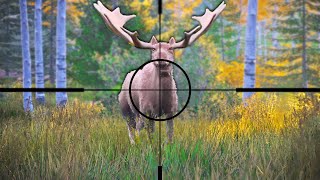 Hunting GIGANTIC Moose in Hunting Simulator 2 [upl. by Ebocaj93]