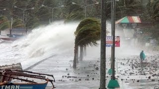 TYPHOON HAIYAN BATTERS THE PHILIPPINES  BBC NEWS [upl. by Cirdes]