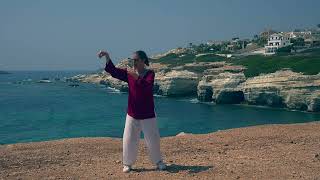 Tai Chi 5 minutes a day  Review Modules 13 [upl. by Markman94]