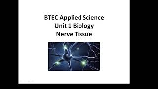 BTEC Applied Science Unit 1 Biology Nerve Tissue [upl. by Nnel]