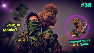 Ark Survival Evolved Mobile Tame Mesopithecus 🐒 Monkey  How To Tame Mesopithecus  Brutal  Ep 38 [upl. by Ahsakal8]