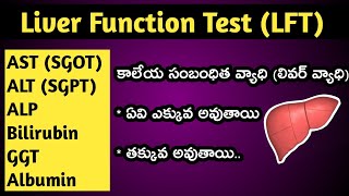 Top 11 Useful Google Drive Tricks in Telugu  Computersaddacom [upl. by Akeihsal]